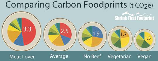 carbon footprint