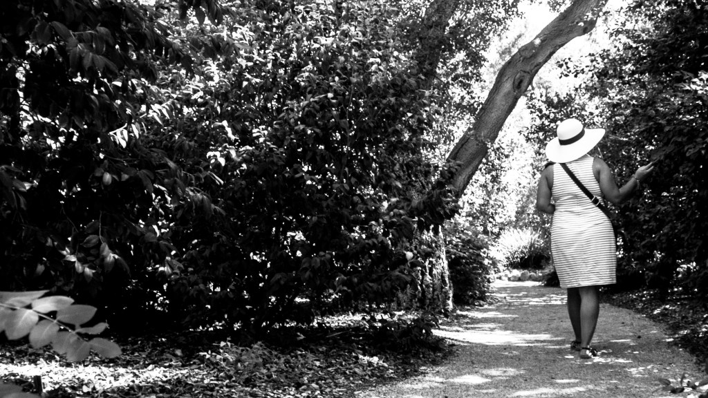 Poetry Anthology: A&nbsp;Journey