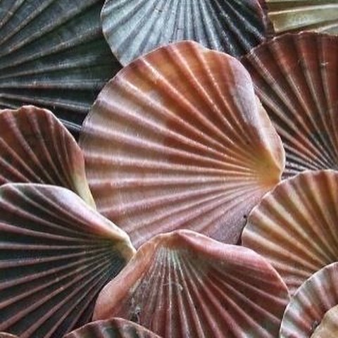 Poetry Anthology: Getting To Know&nbsp;You